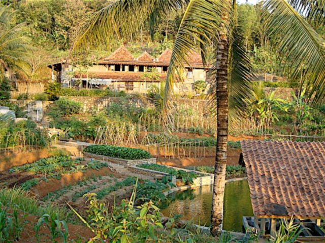 bumi langit institute