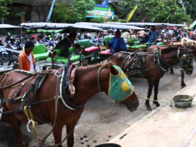 shelter andong jogja