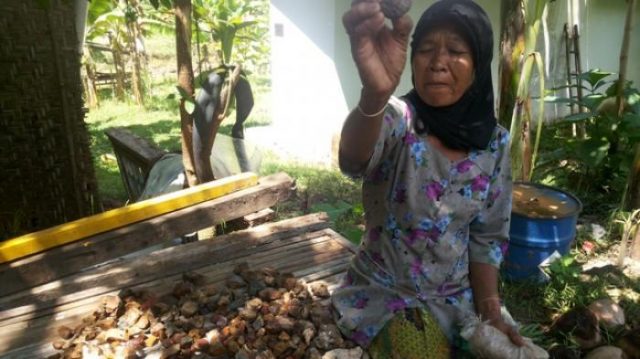 batu akik jogja