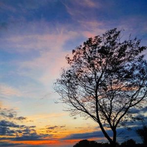 pantai bugel bantul