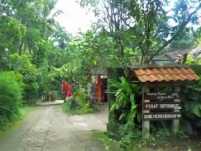 desa wisata pentingsari