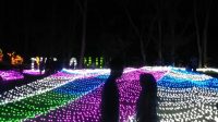 Festival of Light Dragon Castle Kaliurang