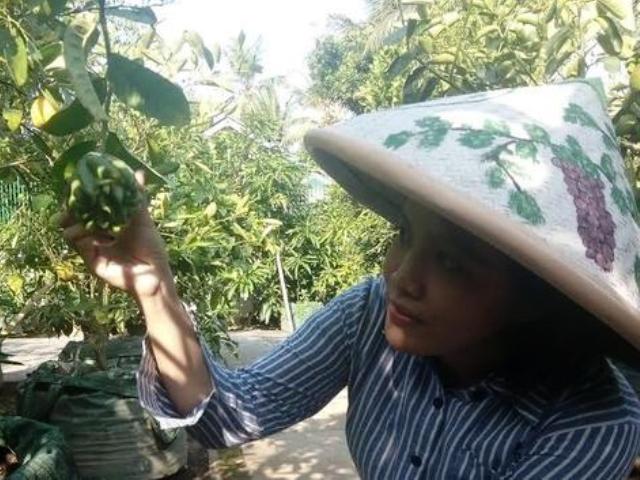 Kebun Buah Sedayu Hadirkan 300 Tanaman Buah Langka Dari Seluruh Dunia