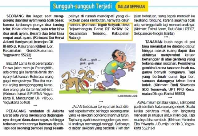 Sungguh-sungguh Terjadi : Oase di Tengah Belantara Berita 1