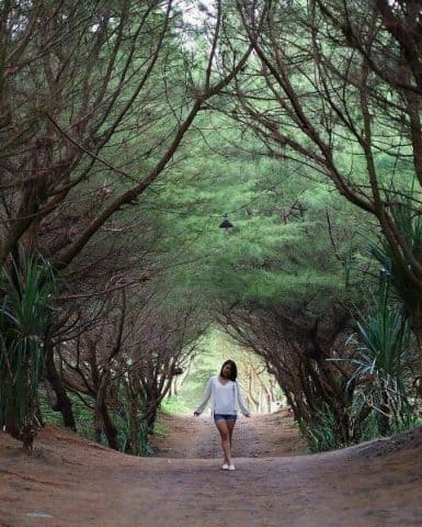 pantai cemoro sewu