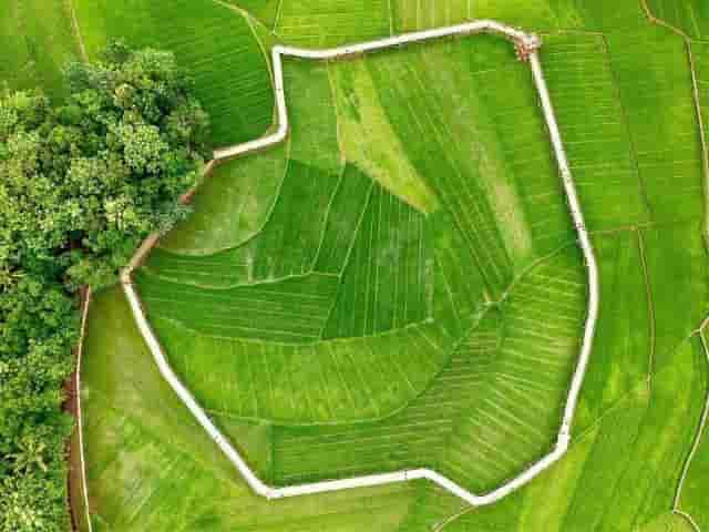 Jelajah Sawah Pertanian Bowongan (JSPB) Songgo Langit Hadir Berkat Kreatifitas Warga 1