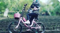 gowes makam imogiri