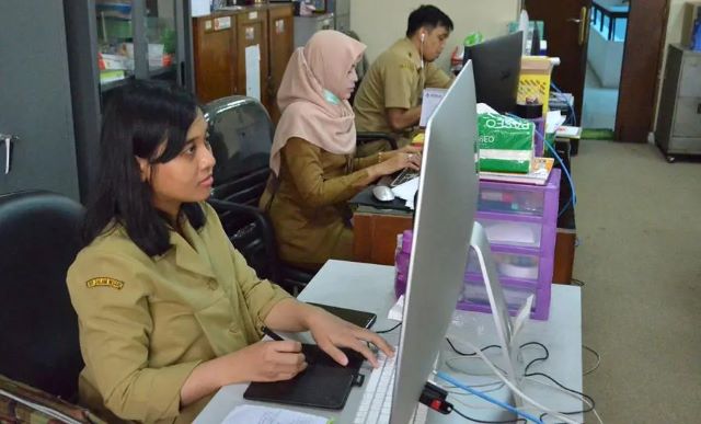 Peran Dinas Kependudukan dan Catatan Sipil